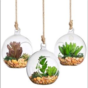 Set of 3 terrarium globes